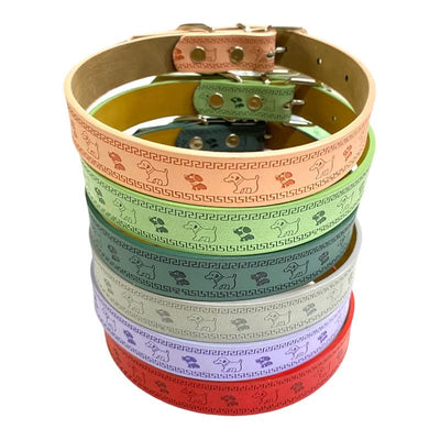 CT0408 1 Pieza de Collar Para Mascota