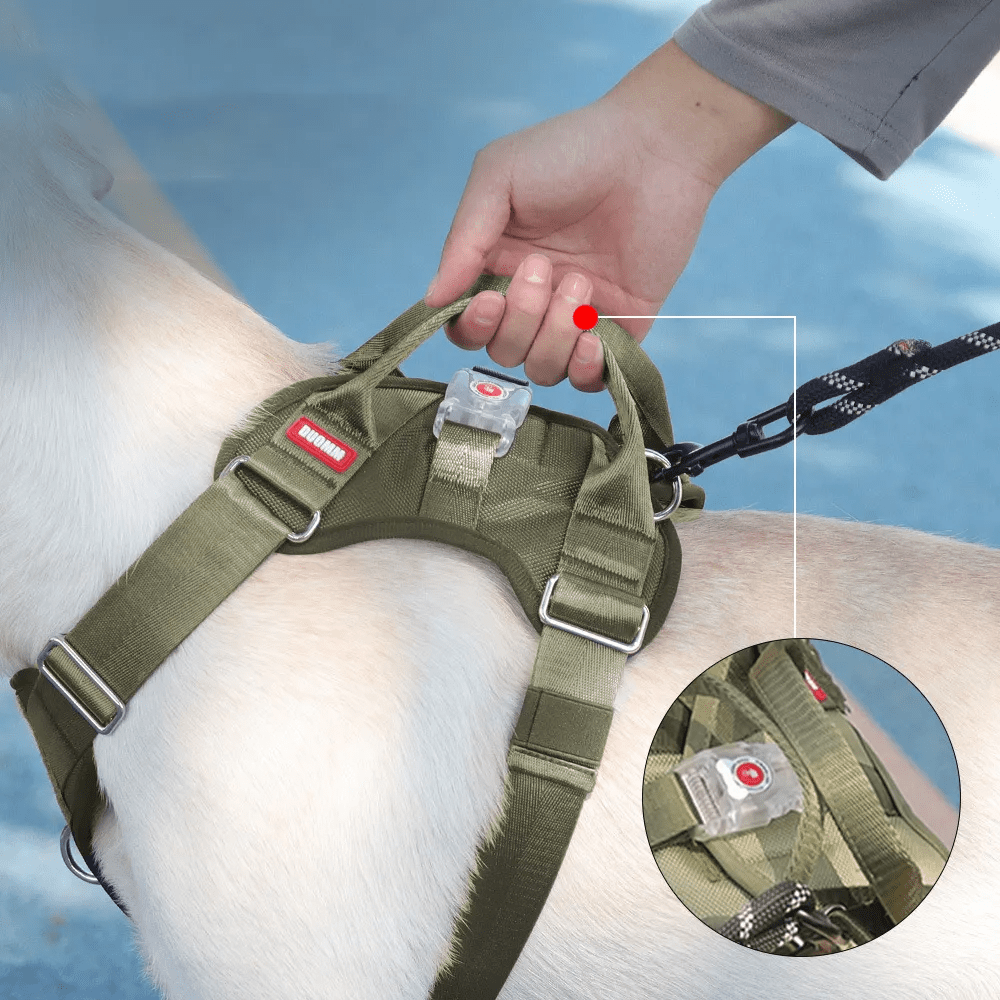 CT0578 1 Pieza De Pechera Para Mascota