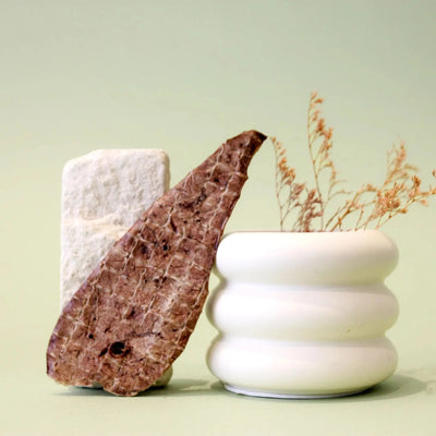 CT0616 90gr Premios de Res Pulmón Deshidratado