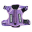 CT0643 1 Pieza De Pechera Para Mascota