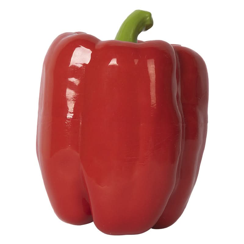 CT0883 1 Pieza De Juguete Para Mascota