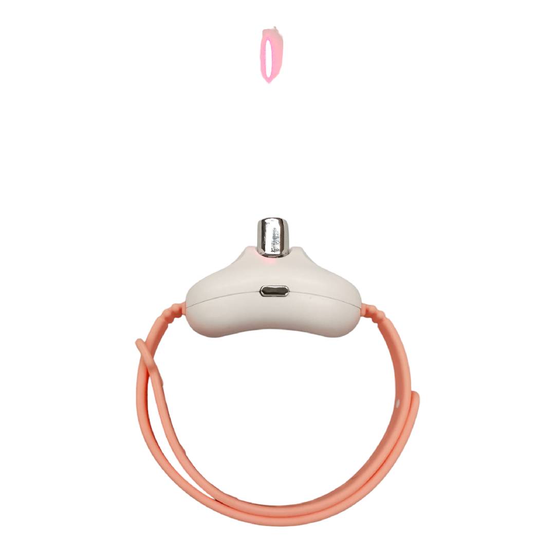 CT0957 1 Pieza De Juguete Laser Para Mascota