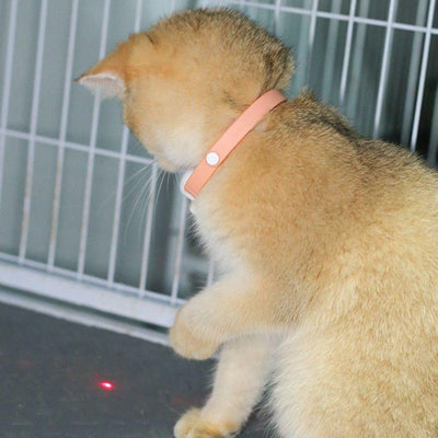 CT0957 1 Pieza De Juguete Laser Para Mascota