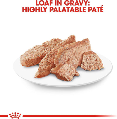 CT1165 1 Pieza De Alimento Persa Para Gato