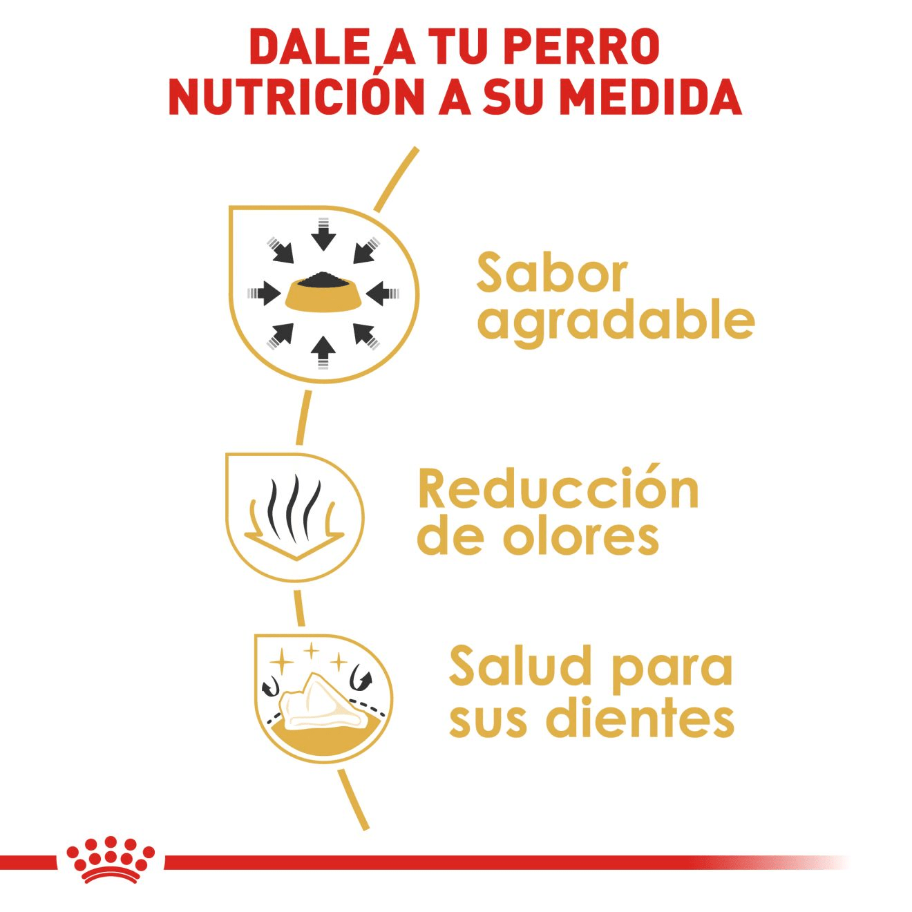 CT1181 1 Pieza De Alimento Chihuahua Adulto