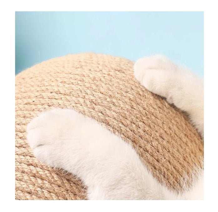 CT1368 1 Pieza de Juguete Rascador Para Gato