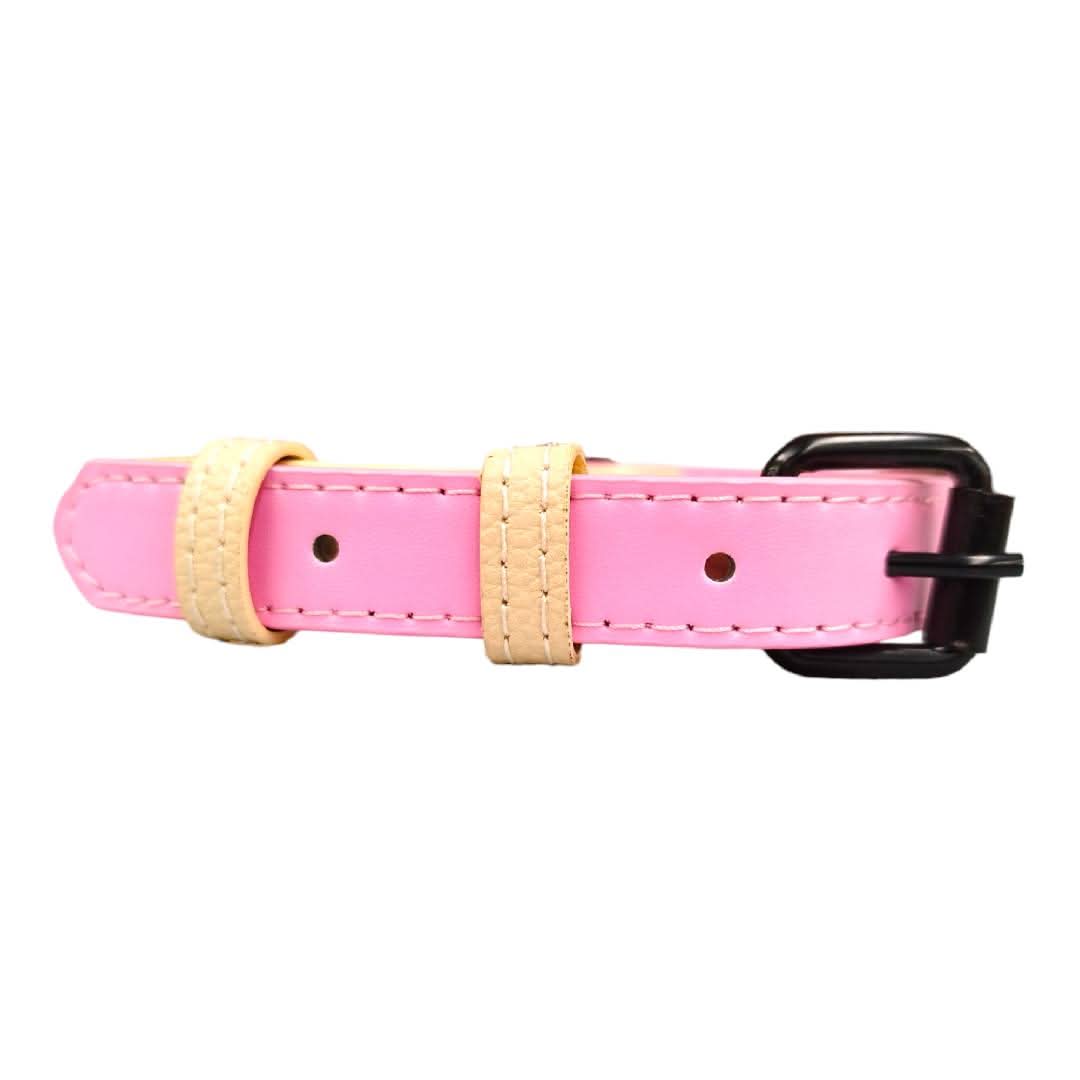 CT1443 1 Pieza De Collar Para Mascota