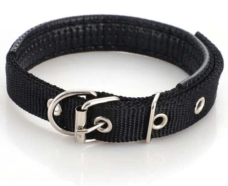 CT1655 1 Pieza De Collar Para Mascota