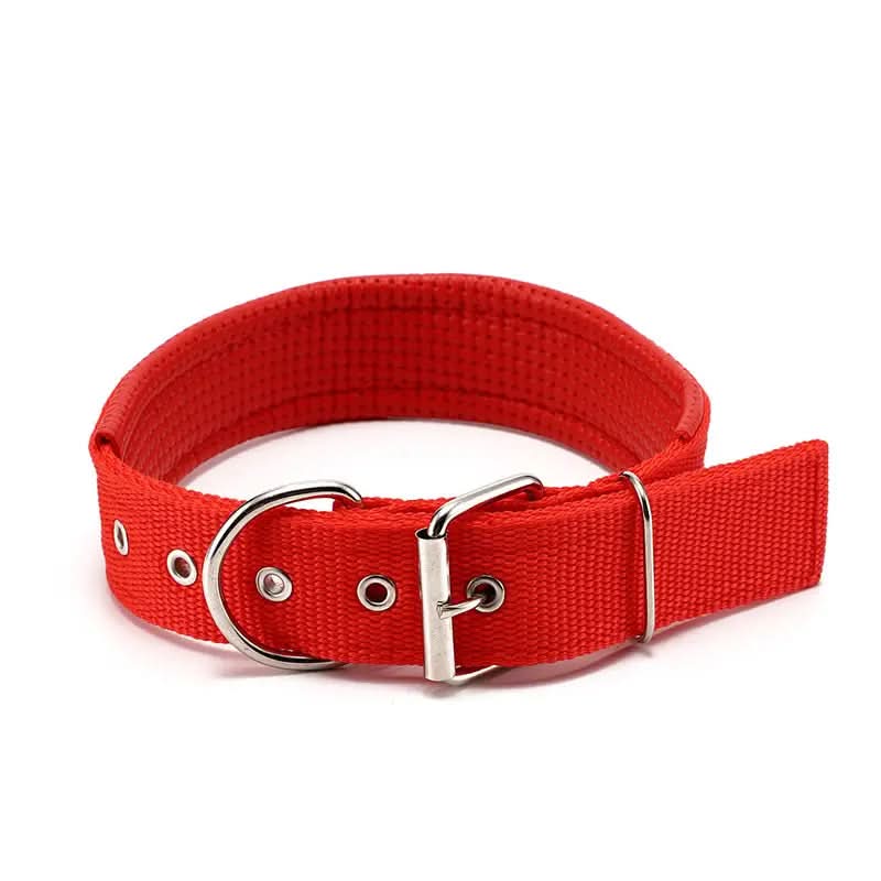 CT1675 1 Pieza De Collar Para Mascota