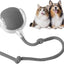 CT1701 1 Pieza de Juguete Pelota Inteligente Recargable Para Mascota
