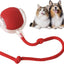 CT1701 1 Pieza de Juguete Pelota Inteligente Recargable Para Mascota