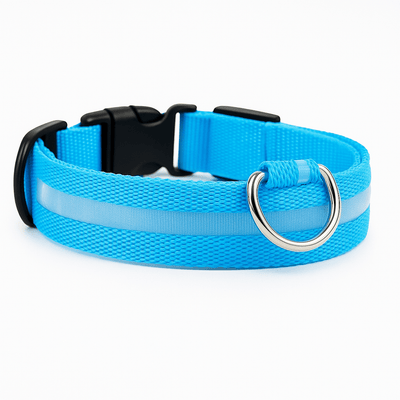 CT1804 1 Pieza De Collar De Luz LED De USB Recargable