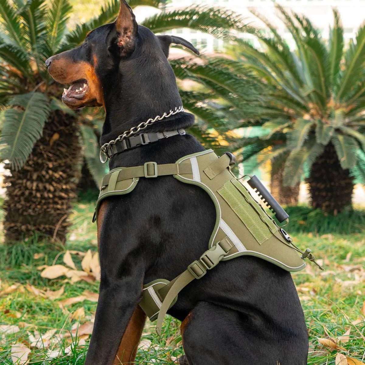 CT1828 1 Pieza De Pechera Para Mascota