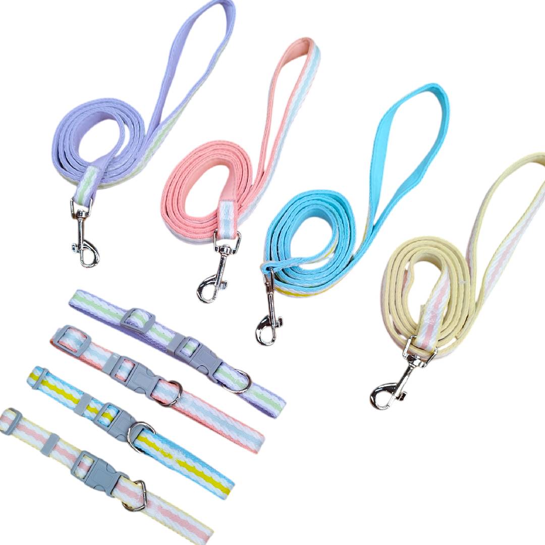 CT2112 1 Pieza De Collar Con Correa Para Mascota