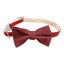 CT2146 1 Pieza Collar Para Mascota Con Diseño De Moño