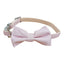 CT2146 1 Pieza Collar Para Mascota Con Diseño De Moño