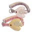CT2153 1 Pieza Collar Para Mascota Con Diseño De Pez
