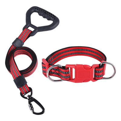 CT2217 1 Pieza De Collar Con Correa Para Mascota