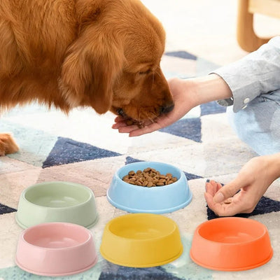 CT2259 1 Pieza De Tazón Para Mascota