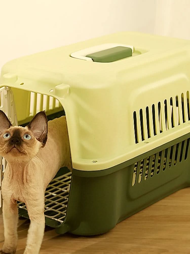 CT2276 Transportadora Para Mascota CH