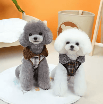 CT2304 1 Pieza De Ropa De Invierno Para Mascota