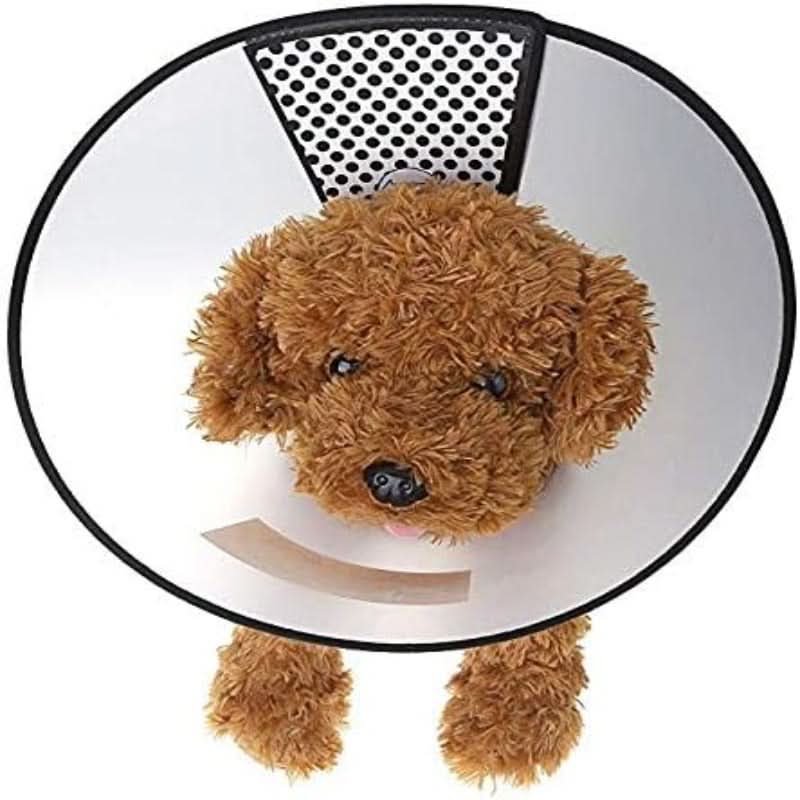 CT2475 1 Set de 7 piezas Collar Isabelino Para Mascota