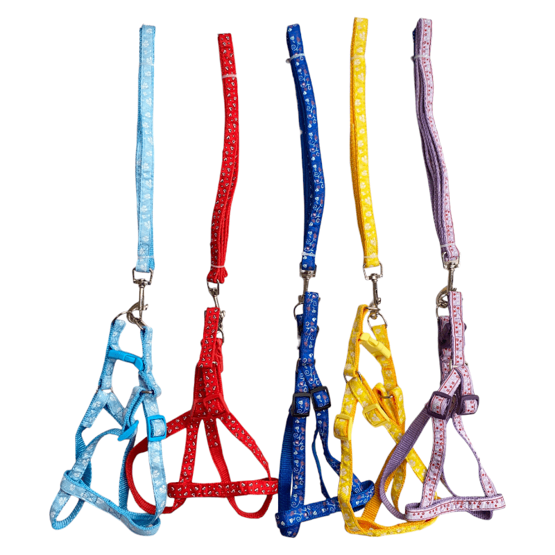 CT2511 1 Pieza Correa Y 1 Pieza Pechera Con Diseño