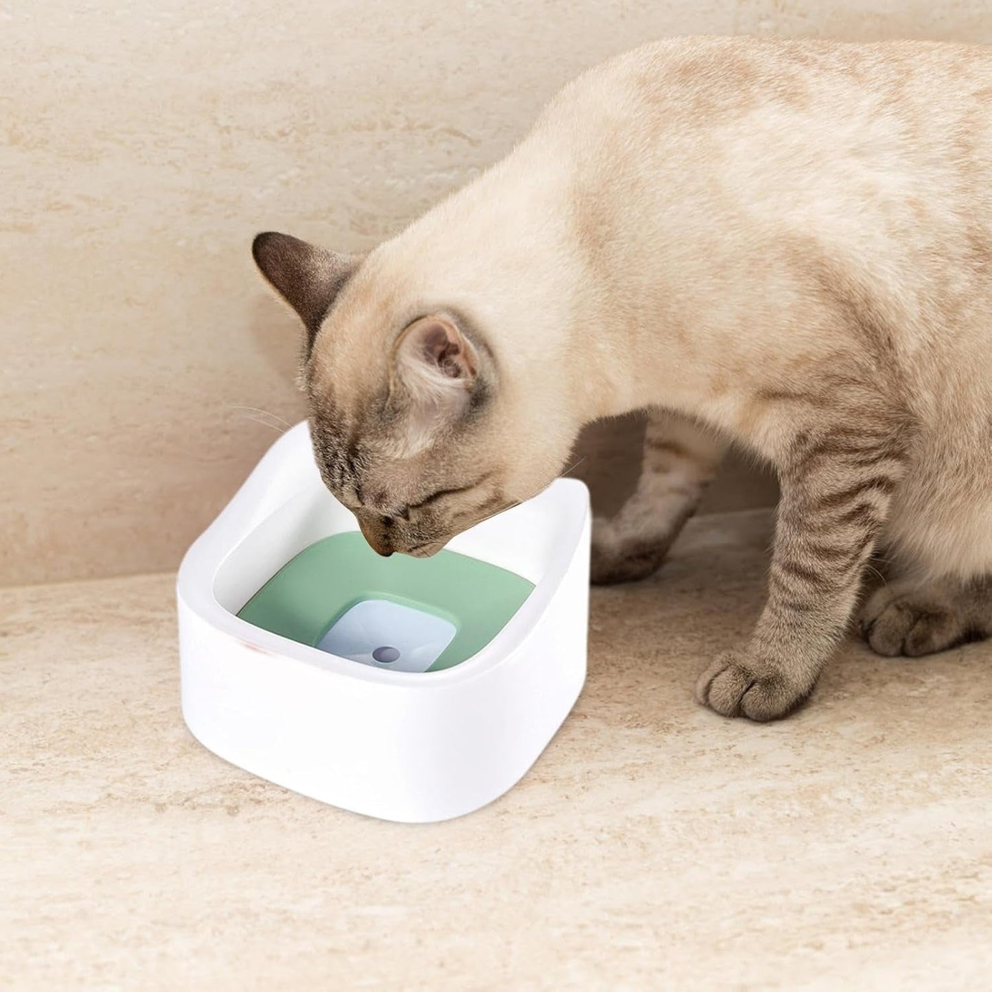 CT2517 1 Pieza De Tazón Para Mascota