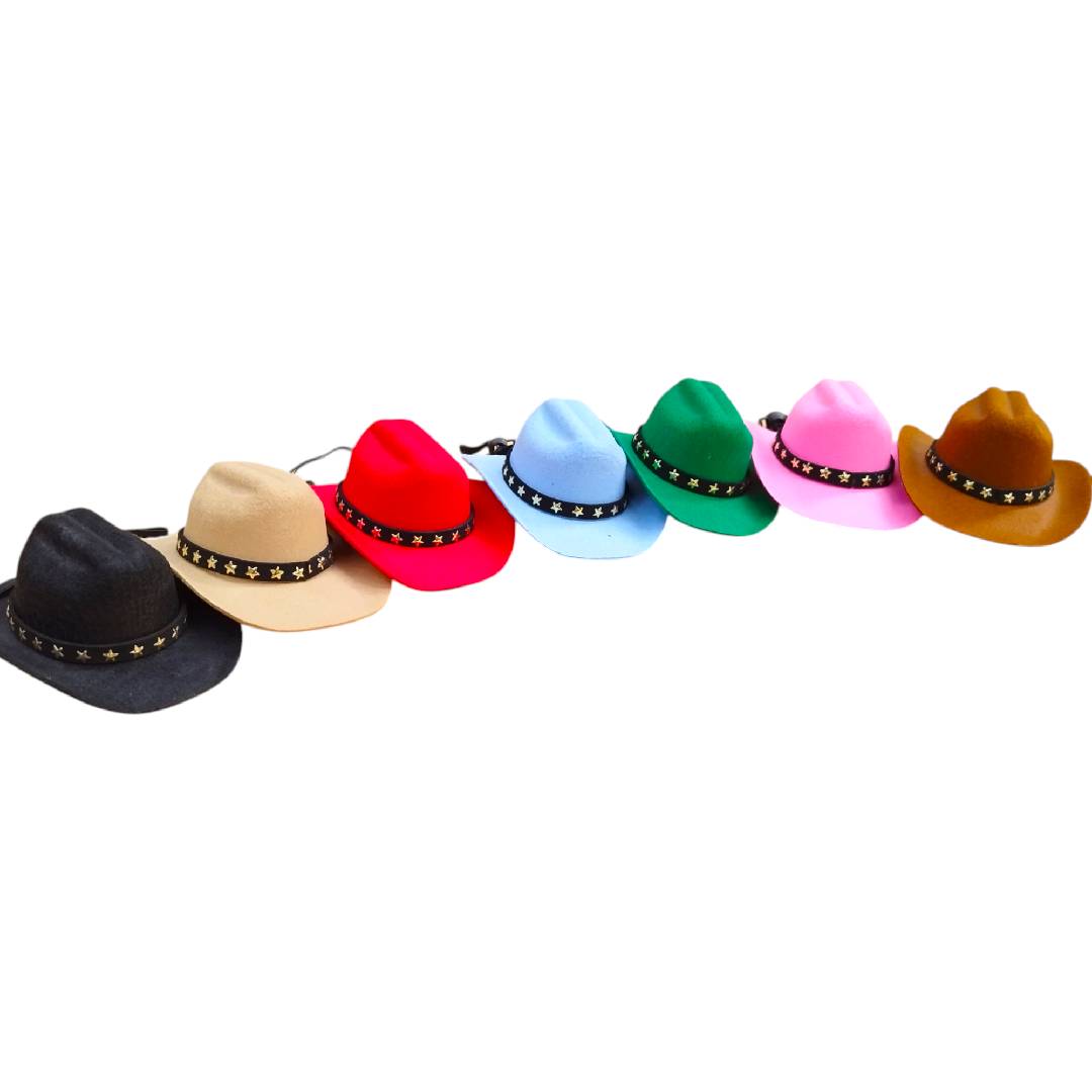 CT2570 1 Pieza De Sombrero Para Mascota