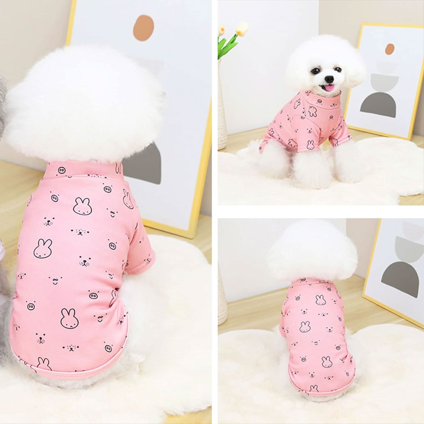 CT2601 1 Pieza De Ropa Para Mascota Diseno