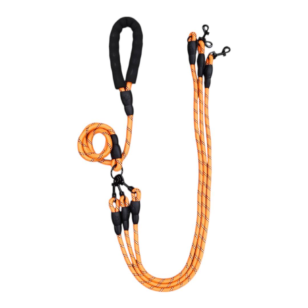 CT2648 1 Pieza De Correa Triple Para Mascota