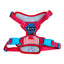 CT2662 1 Pieza De Pechera Para Mascota