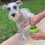 CT2817 1 Pieza De Limpiador De Patas Para Mascotas