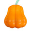 CT2906 1 Pieza De Juguete De Cuerda Diseño Calabaza Para Mascota