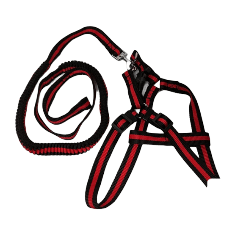 CT2931 1 Pieza de Correa Elástica & 1 Pechera Para Perros