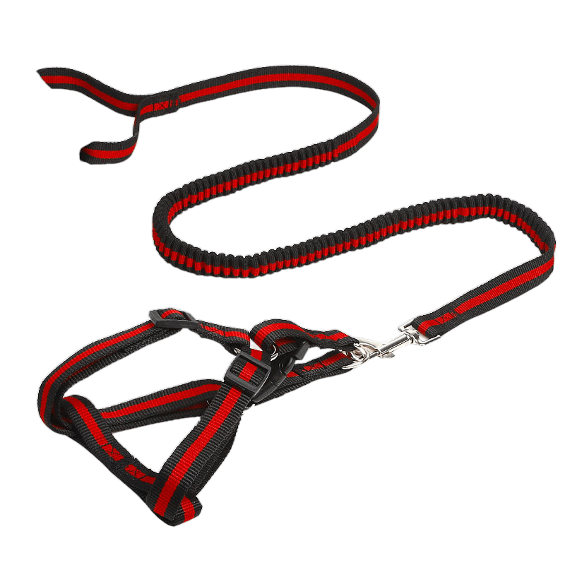 CT2931 1 Pieza de Correa Elástica & 1 Pechera Para Perros