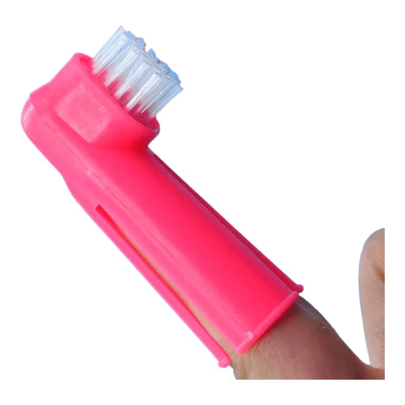 CT3174 1 Pieza de Cepillo De Dientes Dedal Para Perro