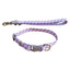 CT3195 1 Pieza De Correa Con Collar Para Mascota