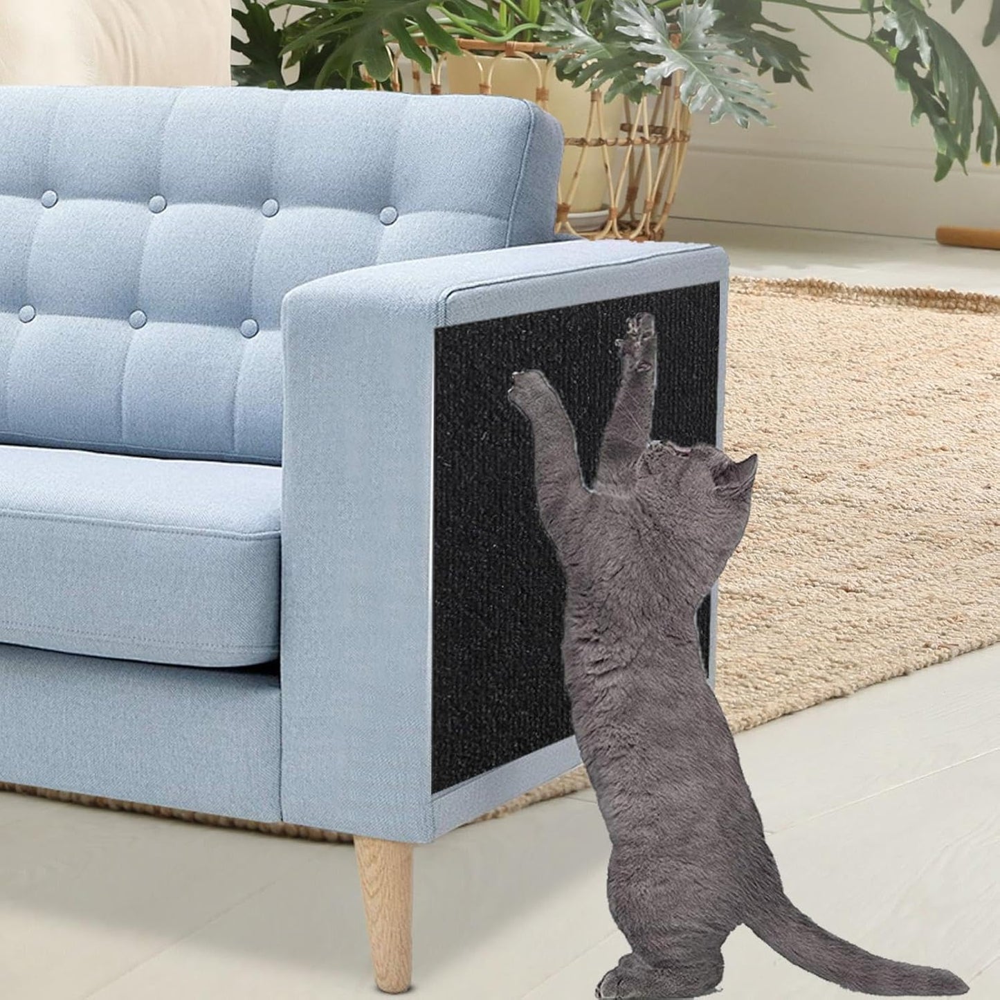 CT3262 1 Pieza Protectora Tipo Alfombrilla Rascador Para Gatos