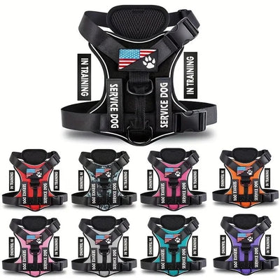 CT3294 1 Pieza De Pechera Con Correa Para Mascota