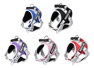 CT3348 1 Pieza De Pechera Con Correa Para Mascota