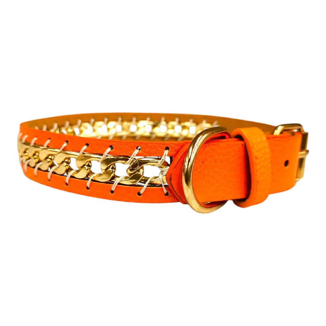 CT3416 1 Pieza De Collar Para Mascota