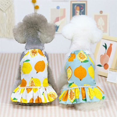 CT3417 1 Pieza De Ropa Para Mascota