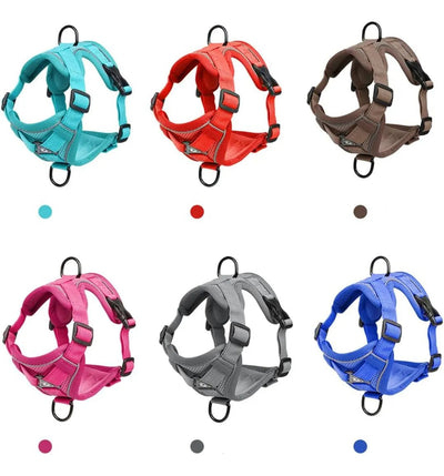 CT3447 1 Pieza De Pechera Con Correa Para Mascota