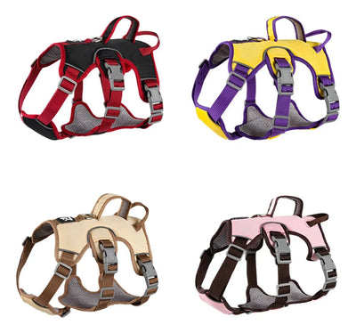 CT3522 1 Pieza De Pechera Con Correa Para Mascota
