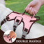 CT3522 1 Pieza De Pechera Con Correa Para Mascota