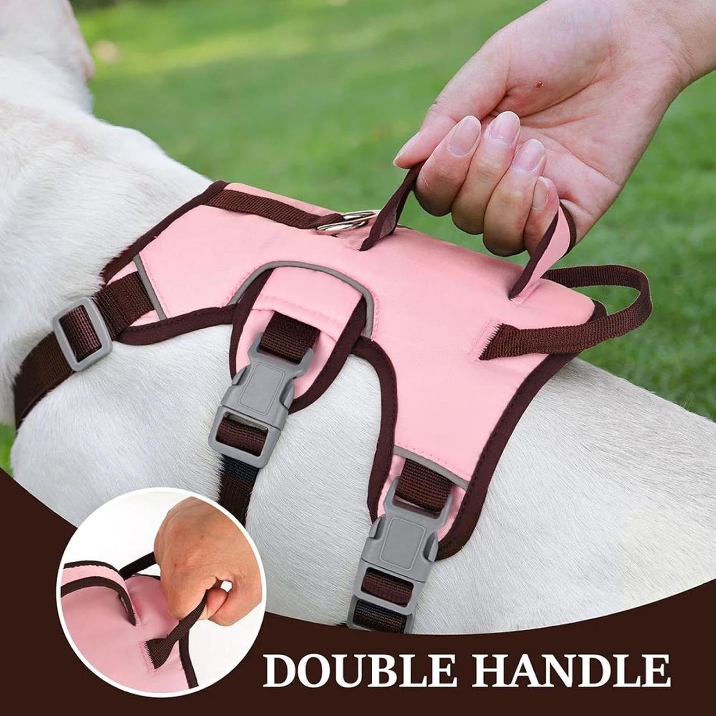 CT3522 1 Pieza De Pechera Con Correa Para Mascota