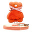 CT3577 1 Pieza De Pechera Con Correa Para Mascota