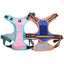 CT3614 1 Pieza De Pechera Con Correa Para Mascota