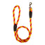 CT3720 1 Pieza De Correa Para Mascota